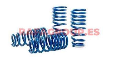 Suspension spring